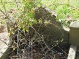 image of grave number 846920